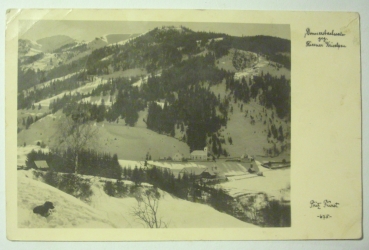Ansichtskarte Donnersbachwald gegen Riesner Krisalpen (1951)